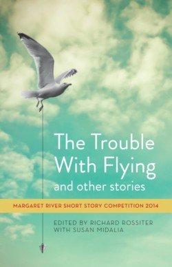 the trouble with flying